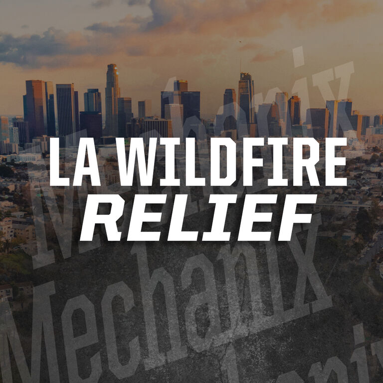 Los Angeles Wildfire Relief